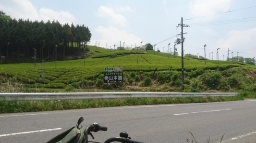 ���s�{�̉F���E�F���c���A���ꌧ�̐M�y�E�����E���c�`�T�C�N�����O