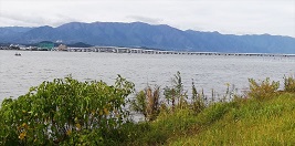 ���i�Α勴 (���ꌧ)�@�͊O���Ȃ�