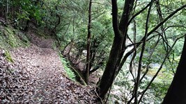 ����쉈���Ƀn�C�L���O