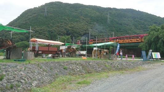 �g���b�R�T���w���狞�s�s�̃g���b�R����w�Ɍ����o��