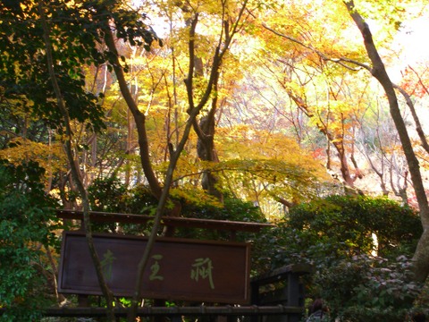 �_�����̍g�t