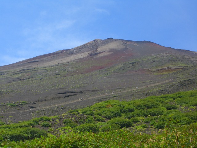 �x�m�o�R�E�Ό�����=��������