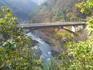 ���s�s���R�E�j��㗬�ɉ˂���i�q������(�R�A�{��)�ےË��w