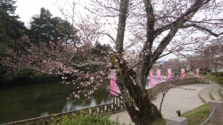 �T���s(���s�{)�A�싽����